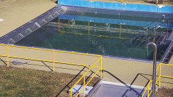 Whirlpool koupaliště Rusava