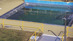 Whirlpool koupaliště Rusava