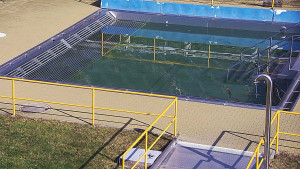 Koupaliště Rusava - Whirlpool koupaliště Rusava - 20.3.2026 v 09:30 Koupaliště Rusava - Whirlpool koupaliště Rusava - 20.3.2026 v 09:30