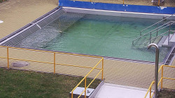 Whirlpool koupaliště Rusava