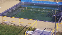 Whirlpool koupaliště Rusava