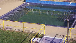 Whirlpool koupaliště Rusava