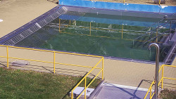 Whirlpool koupaliště Rusava