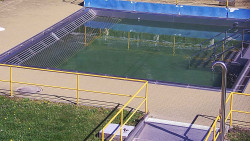 Whirlpool koupaliště Rusava