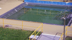 Whirlpool koupaliště Rusava