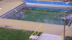 Whirlpool koupaliště Rusava