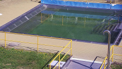 Whirlpool koupaliště Rusava