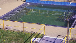 Whirlpool koupaliště Rusava