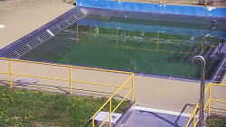 Whirlpool koupaliště Rusava