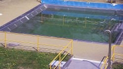 Whirlpool koupaliště Rusava