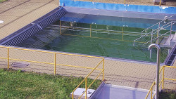 Whirlpool koupaliště Rusava