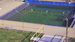 Whirlpool koupaliště Rusava