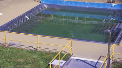 Whirlpool koupaliště Rusava