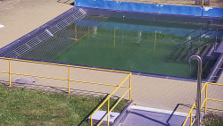 Whirlpool koupaliště Rusava