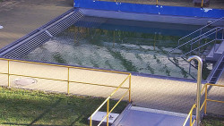 Whirlpool koupaliště Rusava