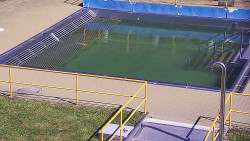 Whirlpool koupaliště Rusava