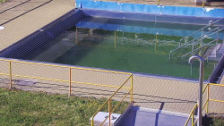 Whirlpool koupaliště Rusava