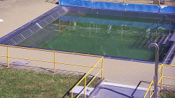 Whirlpool koupaliště Rusava