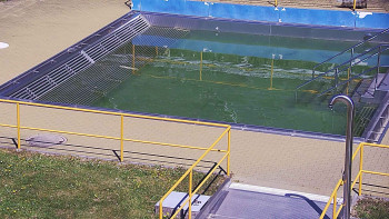Koupaliště Rusava