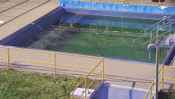 Whirlpool koupaliště Rusava