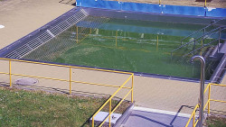 Whirlpool koupaliště Rusava