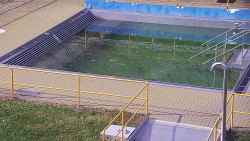 Whirlpool koupaliště Rusava