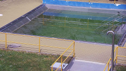 Whirlpool koupaliště Rusava