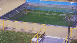 Whirlpool koupaliště Rusava