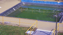 Whirlpool koupaliště Rusava