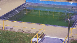Whirlpool koupaliště Rusava