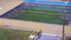 Whirlpool koupaliště Rusava