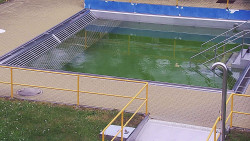 Whirlpool koupaliště Rusava