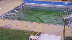 Whirlpool koupaliště Rusava