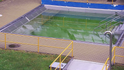 Whirlpool koupaliště Rusava