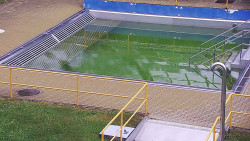 Whirlpool koupaliště Rusava