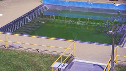 Whirlpool koupaliště Rusava