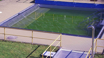 Koupaliště Rusava
