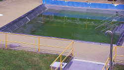Whirlpool koupaliště Rusava