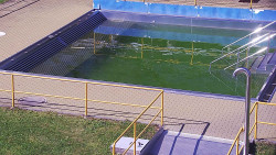 Whirlpool koupaliště Rusava