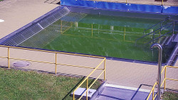 Whirlpool koupaliště Rusava