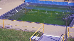 Whirlpool koupaliště Rusava