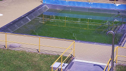 Whirlpool koupaliště Rusava