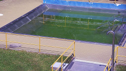 Whirlpool koupaliště Rusava