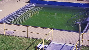 Koupaliště Rusava