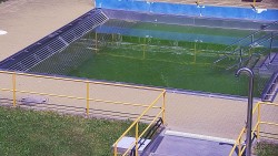 Whirlpool koupaliště Rusava
