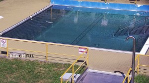 Koupaliště Rusava - Whirlpool koupaliště Rusava - 24.8.2026 v 12:30 Koupaliště Rusava - Whirlpool koupaliště Rusava - 24.8.2026 v 12:30