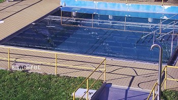 Koupaliště Rusava