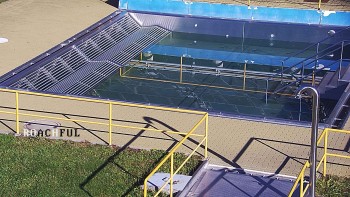 Koupaliště Rusava