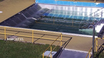 Koupaliště Rusava