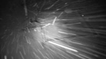 Snímek    23.11.2025 v 00:00